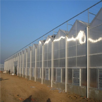 阳光板温室造价 温室大棚工程 连栋温室厂家