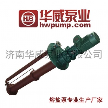 山东华威 高温熔盐泵 GY20-150