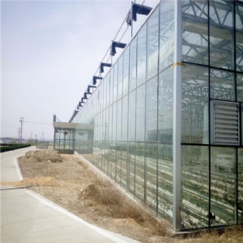 阳光板温室造价 连栋阳光板温室 阳光板温室设计