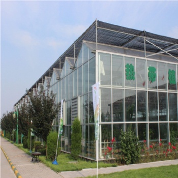 玻璃温室设计 连栋玻璃温室 温室施工 温室厂家