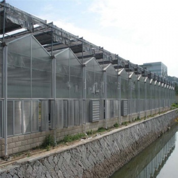 阳光板温室定制 连栋阳光板温室 连栋温室厂家供应
