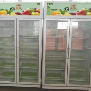 广州 圣冠24小时水果蔬菜无人售货机