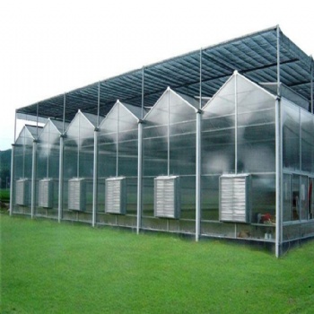 阳光板温室大棚 玻璃温室大棚 连栋温室大棚