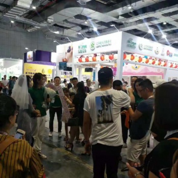 2020辽宁沈阳孕婴童展览会