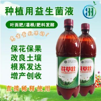 秋冬季种什么蔬菜用什么肥料