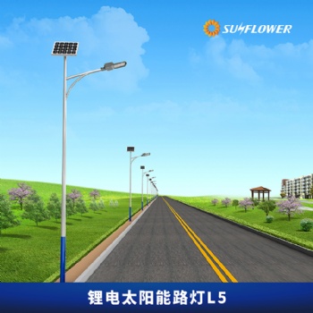 向日葵L5节能智能型锂电池6米40W太阳能LED路灯厂家