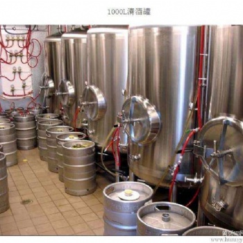 小型自酿设备厂家