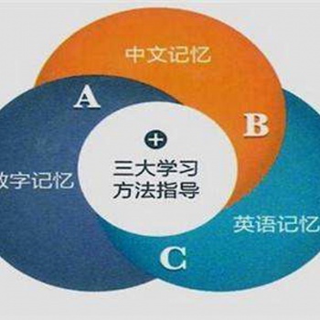 如何低风险、高利润的进行记忆提升项目开发投资