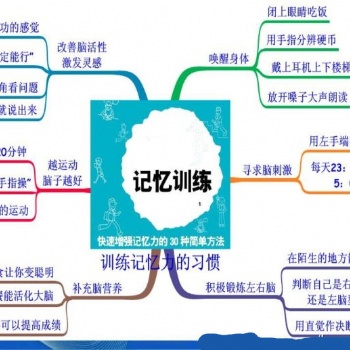 全脑开发培训教育的关键时期