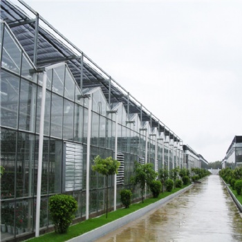 玻璃温室大棚 智能温室 生态餐厅温室