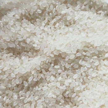 收购大量大米、碎米、糯米