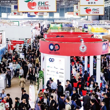 2020年china国际食品饮料展览会FHC进口食品展