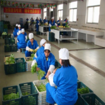 西安大型食材配送公司蔬菜配送提供发票