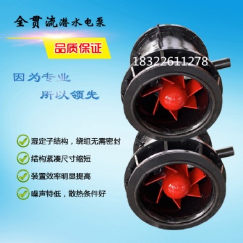 广东珠海厂家供应QGWZ系列型号大流量全贯流潜水泵