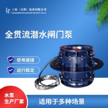 宜昌厂家供应大流量机电排灌QGWZS双向潜水闸门泵