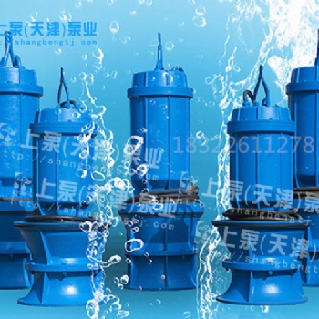 广东厂家生产定制大口径大功率多样式安装QZB潜水轴流泵