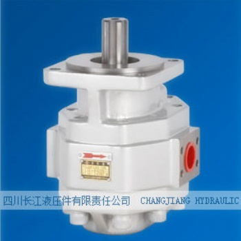 四川长江液压件齿轮泵CBGFa2032