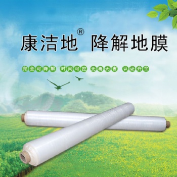 生物降解塑料添加剂 降解母料