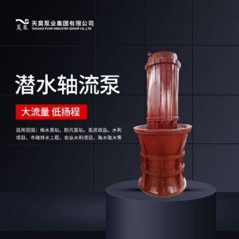 1400QZB海水取水潜水轴流泵生产厂家