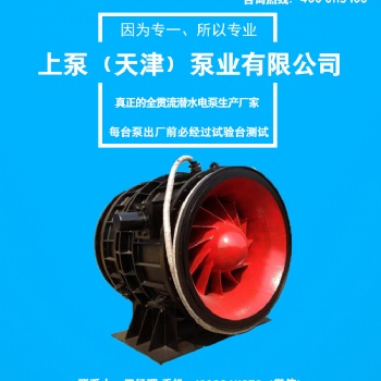 水利工程改造大流量QGWZ系列全贯流潜水泵广东厂家