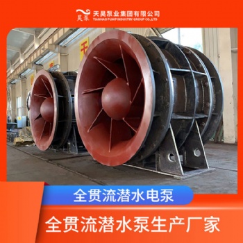 天津厂家现货直供QGWZ全贯流泵潜水泵