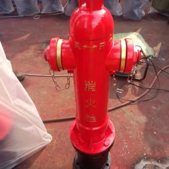 北京地上式泡沫消火栓厂家定做加工SSP100/65-1.6