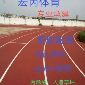 塑胶跑道，硅PU球场，EPDM塑胶，丙烯酸球场，专业承建