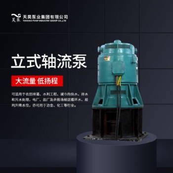 强排用4.0ZLB-9.5立式轴流泵厂家现货
