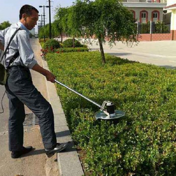 园林绿化庭院设计生态园林规划道路绿化市政工程效果图制作施工