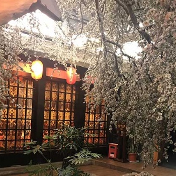 四川主题餐厅设计——天逸景观