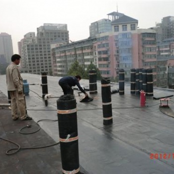 郑州专业承接新旧屋面 地下室卫生间 游泳池等各种防水工程