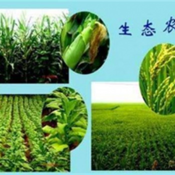 农林资质农业综合开发生态工程乙级资质标准