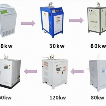 电加热锅炉 蒸汽发生器可定制