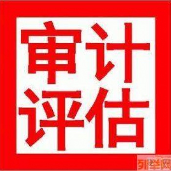 全国审计报告 普通审计报告专项审计报告