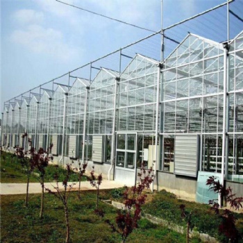 玻璃温室 智能温室 温室承建 温室工程