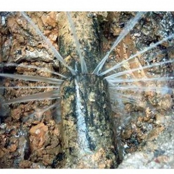 奉贤区金汇工业区水管漏水检测.水管漏水查漏