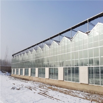 连栋阳光板温室 厂家 生态园采摘 温室设计