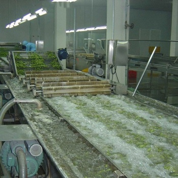 果蔬清洗机 气泡清洗机 高压喷淋清洗机