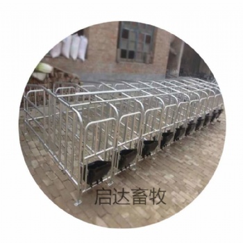 母猪产床厂家供应定位栏10个猪位限位栏10个钢板食槽猪用养殖设备