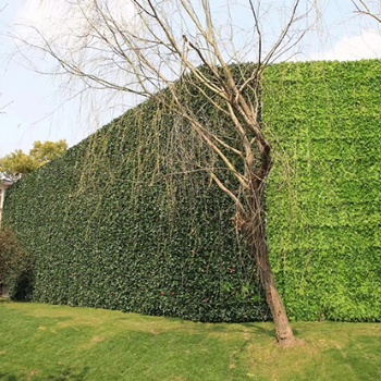 绿植墙景观绿化加工安装