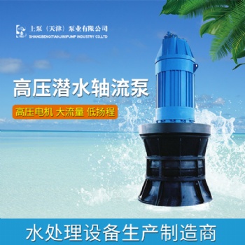 惠州市500QZB-100潜水轴流泵厂家电话