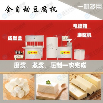泰安全自动豆腐机生产线 厂家 保教技术