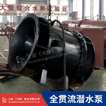 武汉市350QGWZ-70J全贯流潜水泵厂家