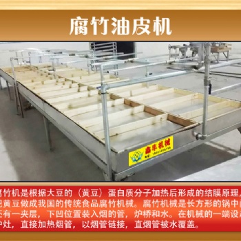 吉林通化全自动腐竹机生产线 厂家 保教技术