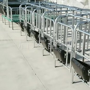 厂家供应定位栏10个猪位限位栏10个钢板食槽猪用养殖设备