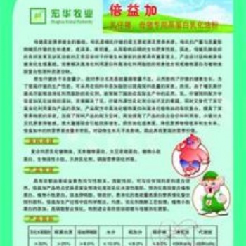 倍益加-高蛋白乳化油粉滨州宏华牧业
