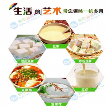 福建平潭大型全自动豆腐机生产线 厂家 保教技术