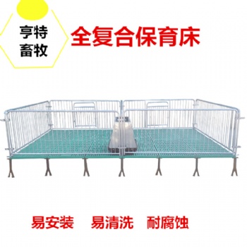 供应湖南猪场母猪定位栏 复合产床保育床 河北畜牧设备生产厂家