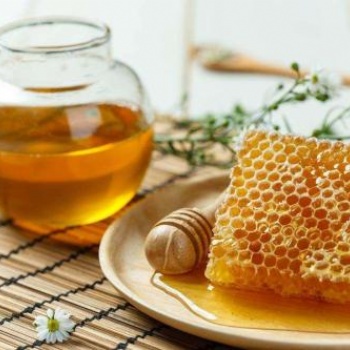 哈斯萨克斯坦蜂蜜进口植物检验要求