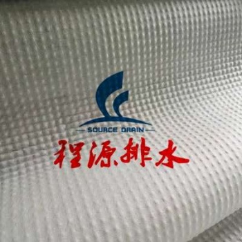 HDPE凹凸排水板高密度塑料排水板枣庄厂家